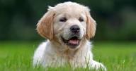 Charity Complaints Procedure Ireland